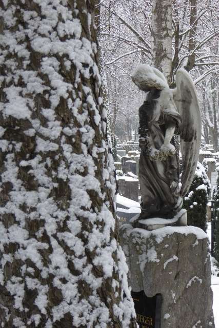 Augsburg Friedhof Hermannstraße Sonntag 17. Januar 5 427x640