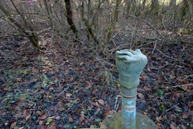 Augsburg Haunstetter Wald late dec 6 640x427