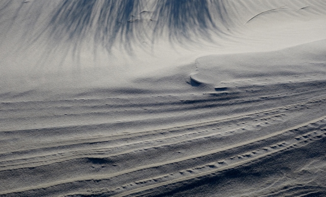 Amrum 214 640x388