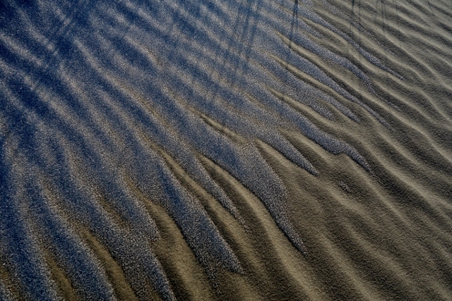 Amrum 93 640x427