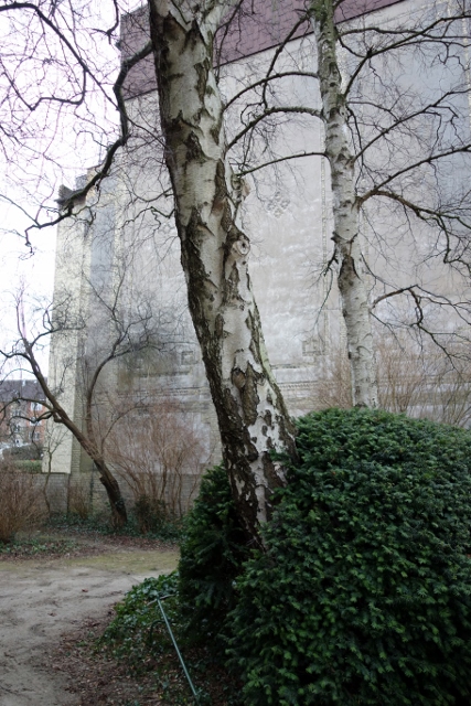 Kiel 51 427x640