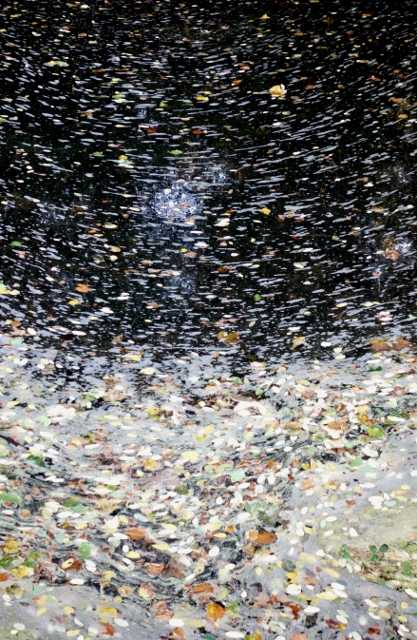 PARIS 528 417x640