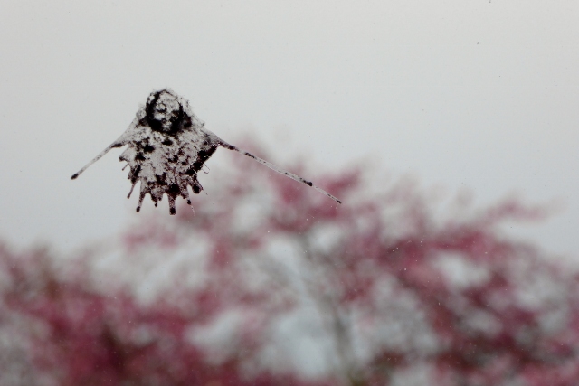 aprilblog7