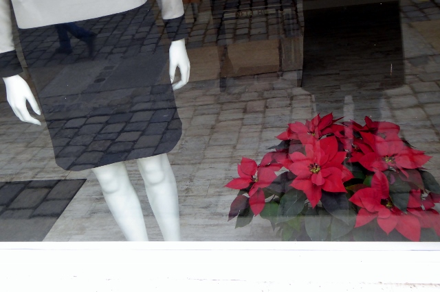 blogfeb6
