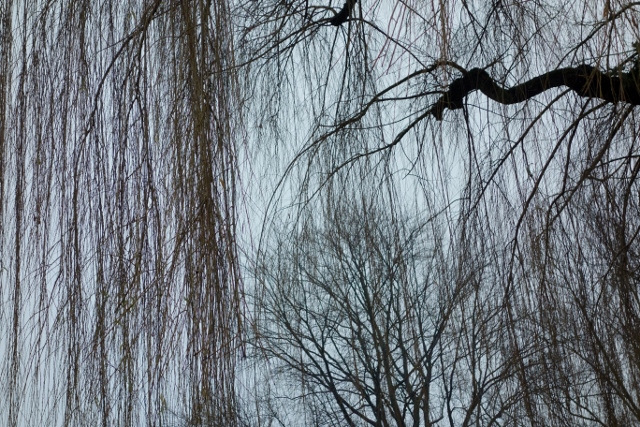 blogjan6
