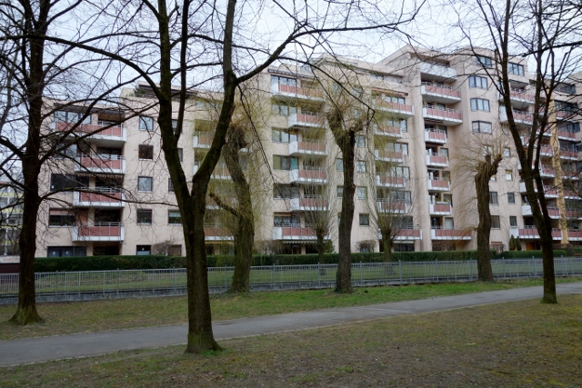 maisonyblog7