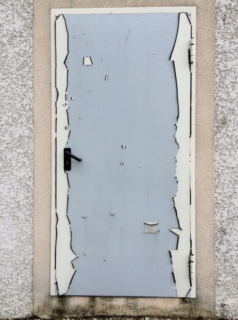 phone31