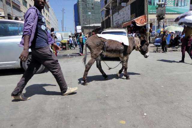 Ethiopia ADDIS ABEBA 157 640x427