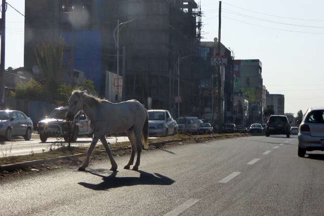 Ethiopia ADDIS ABEBA 224 640x427