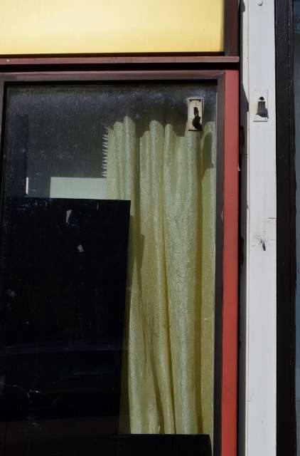 WIEN 100 422x640