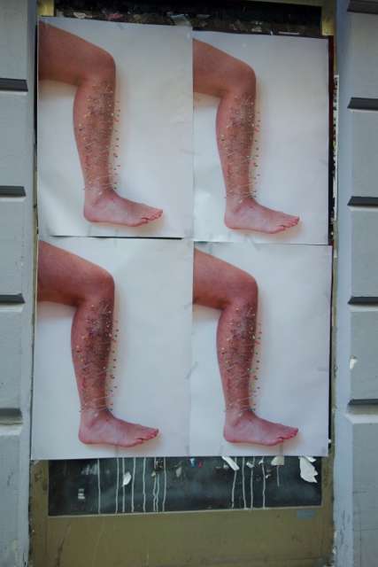 WIEN s 393 427x640
