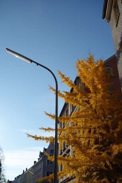 augsburg on 64 427x640